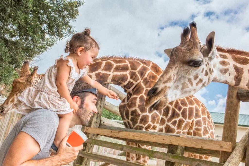 Giraffe Ranch Florida
