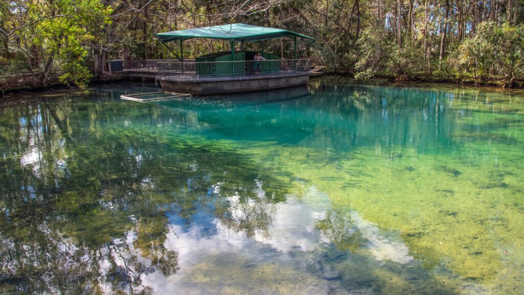 Homosassa Springs Wildlife State Park