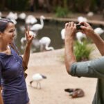 florida wildlife adventures