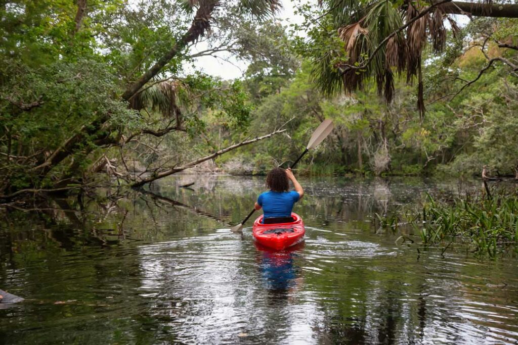 florida wildlife experiences

