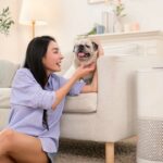 air purifiers for pet odors