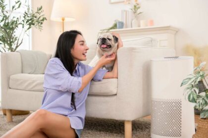 air purifiers for pet odors